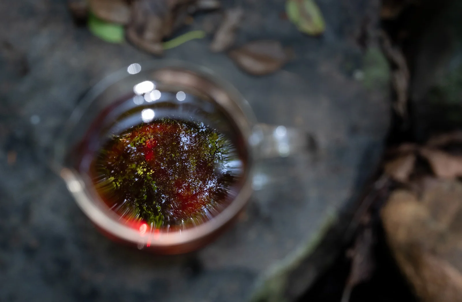 A cup of Kaley black tea reflecting the surrounding Sri Lankan forest