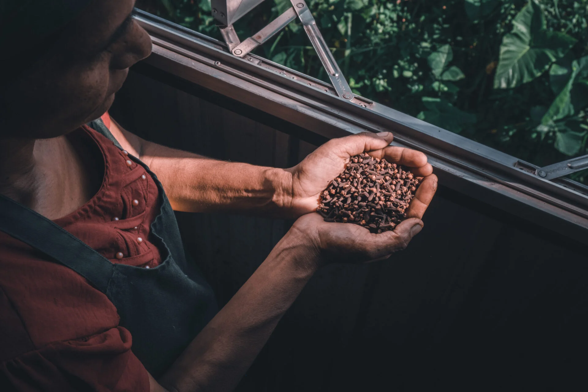 Ceylon Tea Story